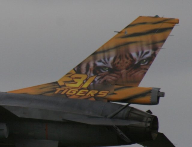 MeetTiger-2014 f16-013