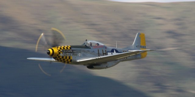 p51-004