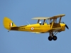 tigermoth-002