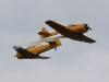 harvard-001