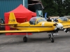 firefly-001