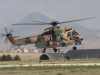 cougar-001jpg