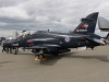 hawk-001