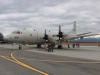 p3-001