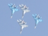 flankers-003