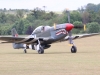 mustang-004