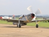 mustang-002