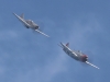 p47-p51-003