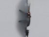 hornet-001