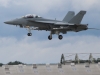 hornet-002