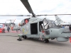 lynx-001