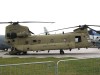 Chinook-001