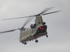 Chinook-001