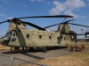 Chinook-003