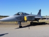 gripen-001