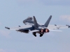 growler-003