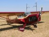 Auster-001
