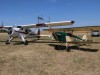 Beaver-002