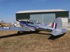 Chipmunk-001