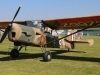 auster-002