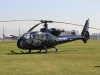 gazelle-003