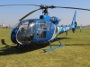 gazelle-005
