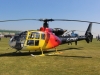 gazelle-007