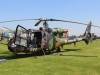 gazelle-012