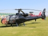 gazelle-013