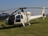 gazelle-014