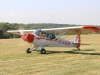 cub-001