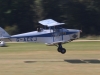 fox-moth-001