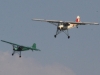 storch-002