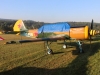 yak52-001