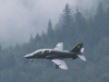 hawk-002