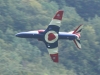 hawk-006