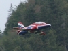 hawk-010