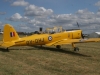 chipmunk-001
