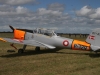 chipmunk-003
