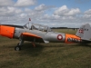 chipmunk-004
