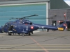 lynx-001