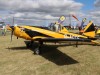 Chipmunk-001