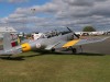 Chipmunk-003