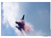 1733007.jpg