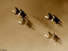 2328397.jpg