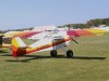 Kitfox-001