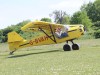 Kitfox-002