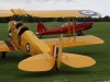 Chipmunk-002
