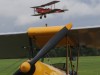 DH60-002