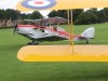DH83-003